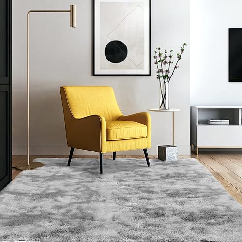 Aternoon Area Rugs, Super Soft Fluffy Shag Rug Floor Carpet for Living Room, Children Bedroom, Nursery Play Room, Home Decor, 4 X 5.3 Feet Light Gray