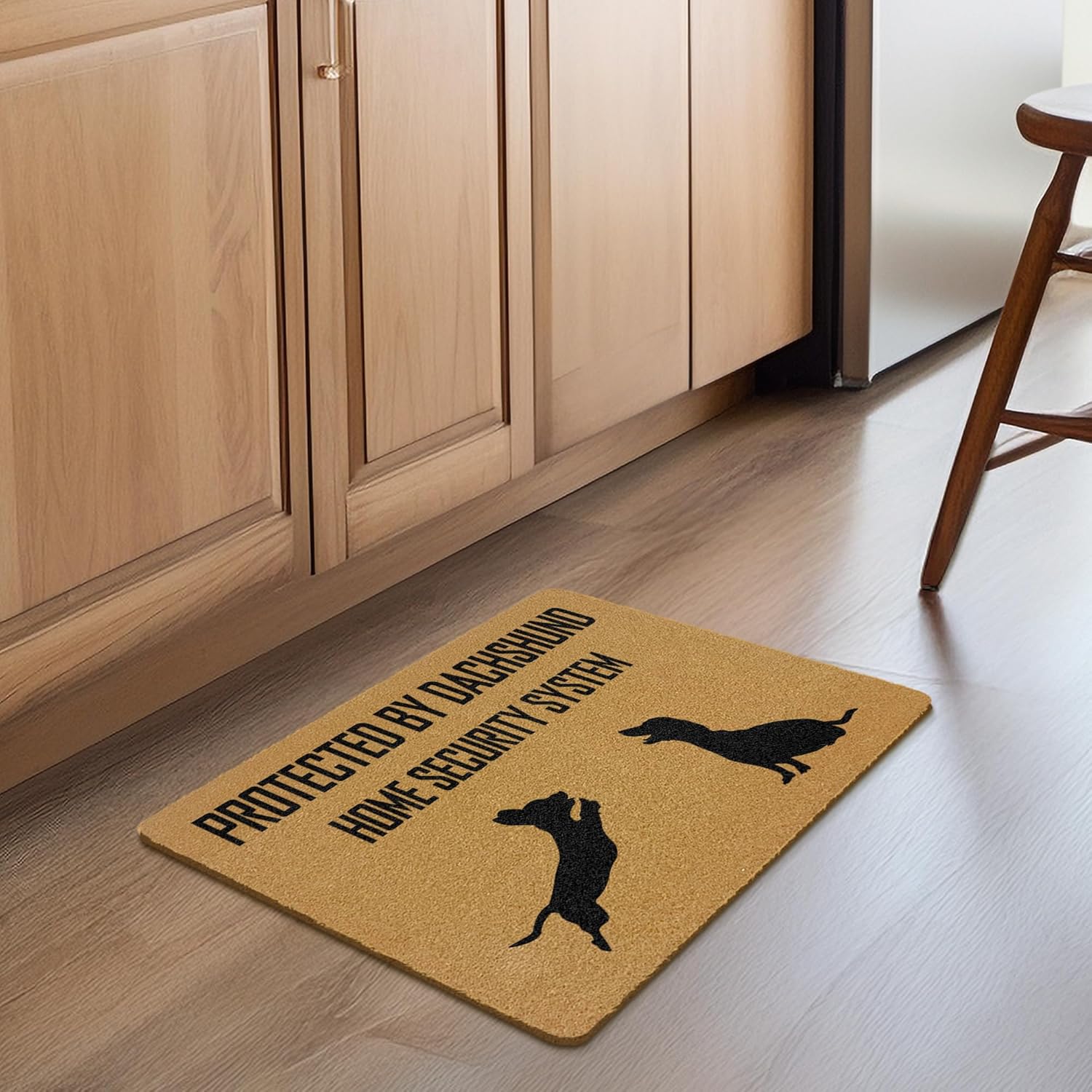 Funny Dachshund Dog Coir Door Mats Outdoor, Wiener Dog Gifts Front Door Mat Outside Entrance, Protected by Dachshund Home System Security Doormat Outdoor Indoor Entrance for Home Decor, 17x30in