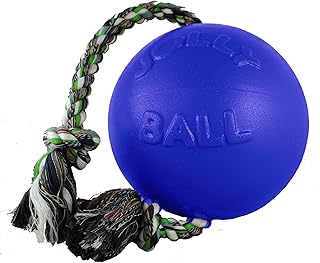 Horsemen's Pride Romp-n-Roll Jolly Ball, 6-Inch, Blue