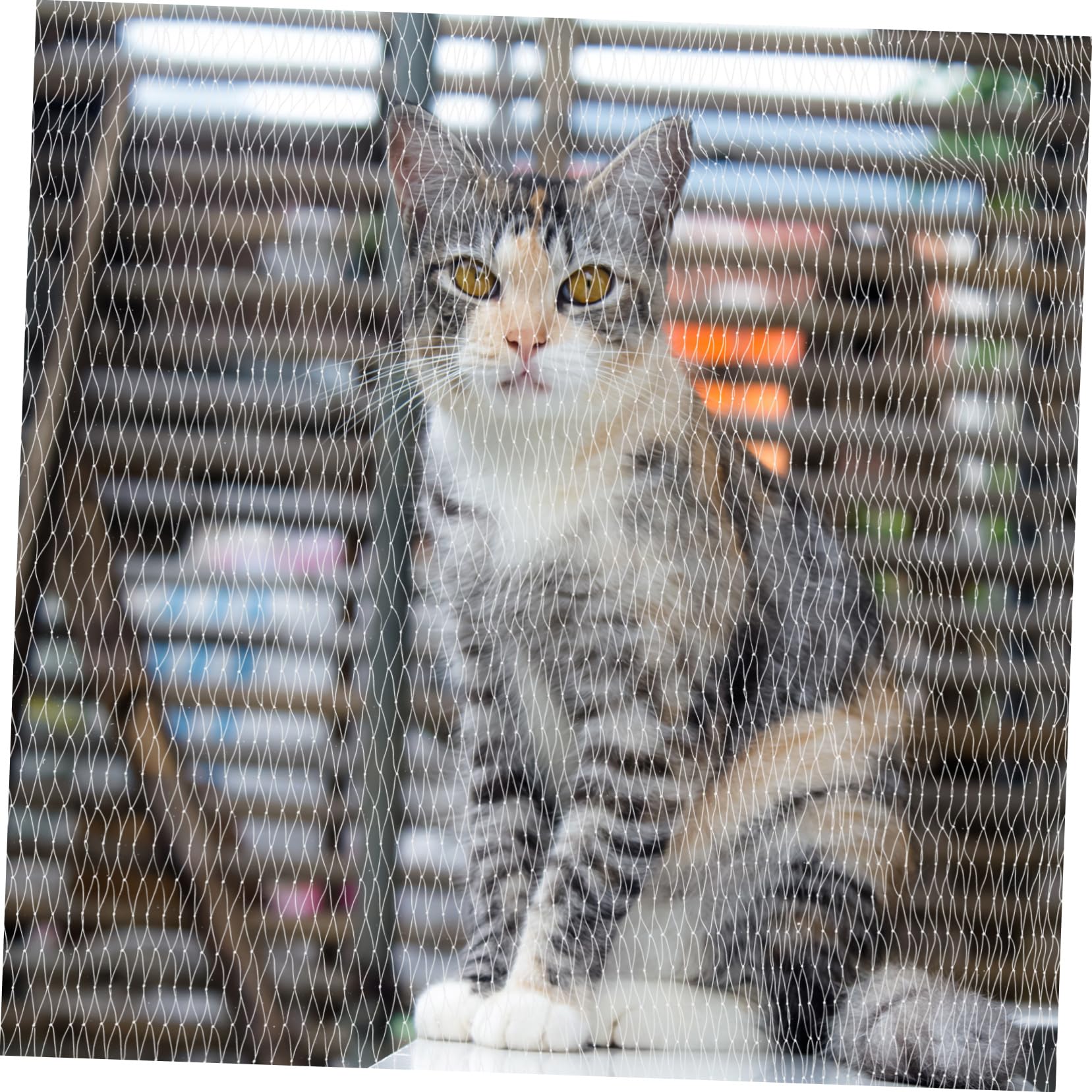 Rete Protezione Gatti Balcone Anti-Caduta in Nylon Bianco | Fitta Maglia, per Balconi e Apertura Stufa, Design Versatile, Rete di Sicurezza per Animali Domestici