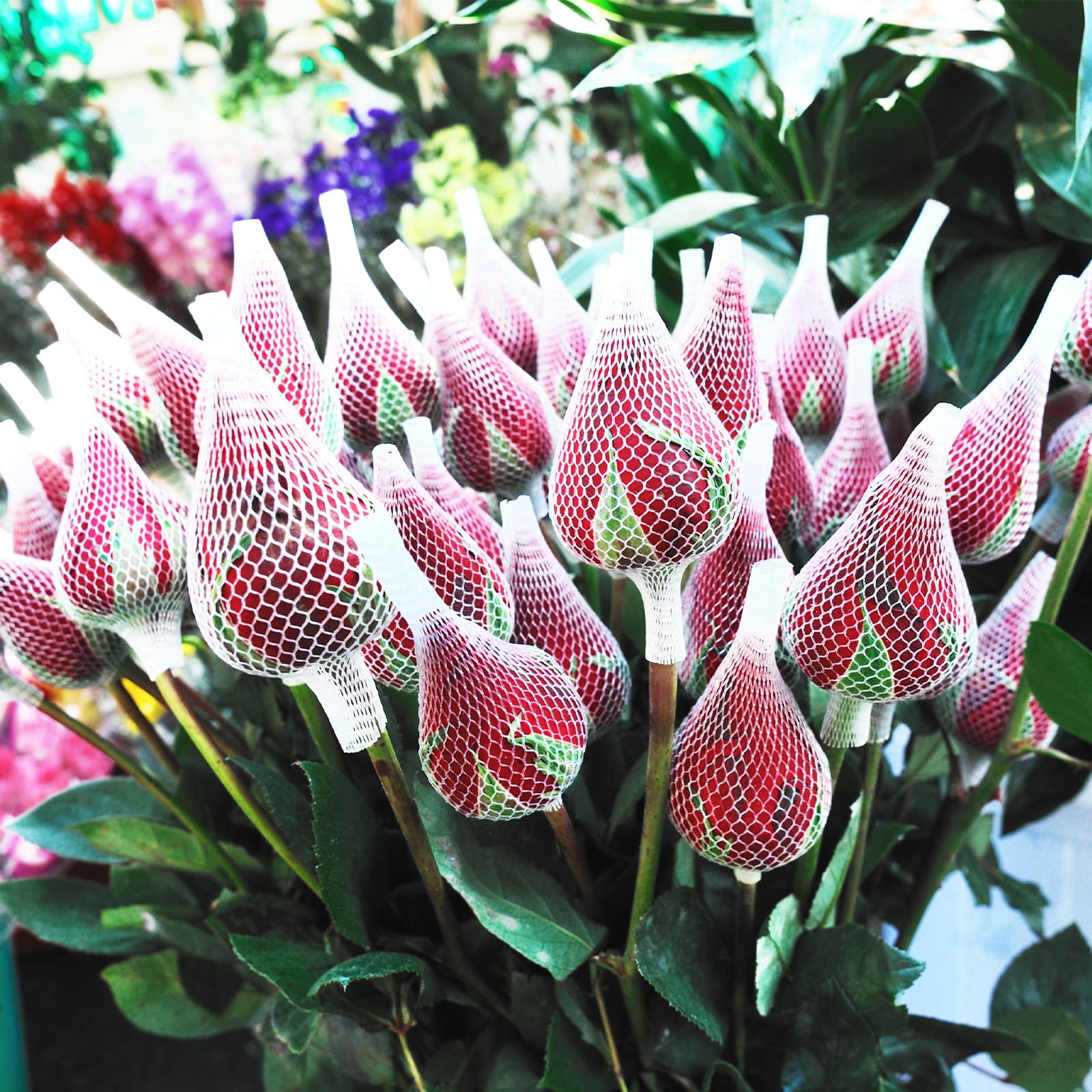 100 Retine Protettive Per Boccioli Di Rosa – PE, 1x12 Cm, Riutilizzabili, Per Fiori E Pennelli - copertina