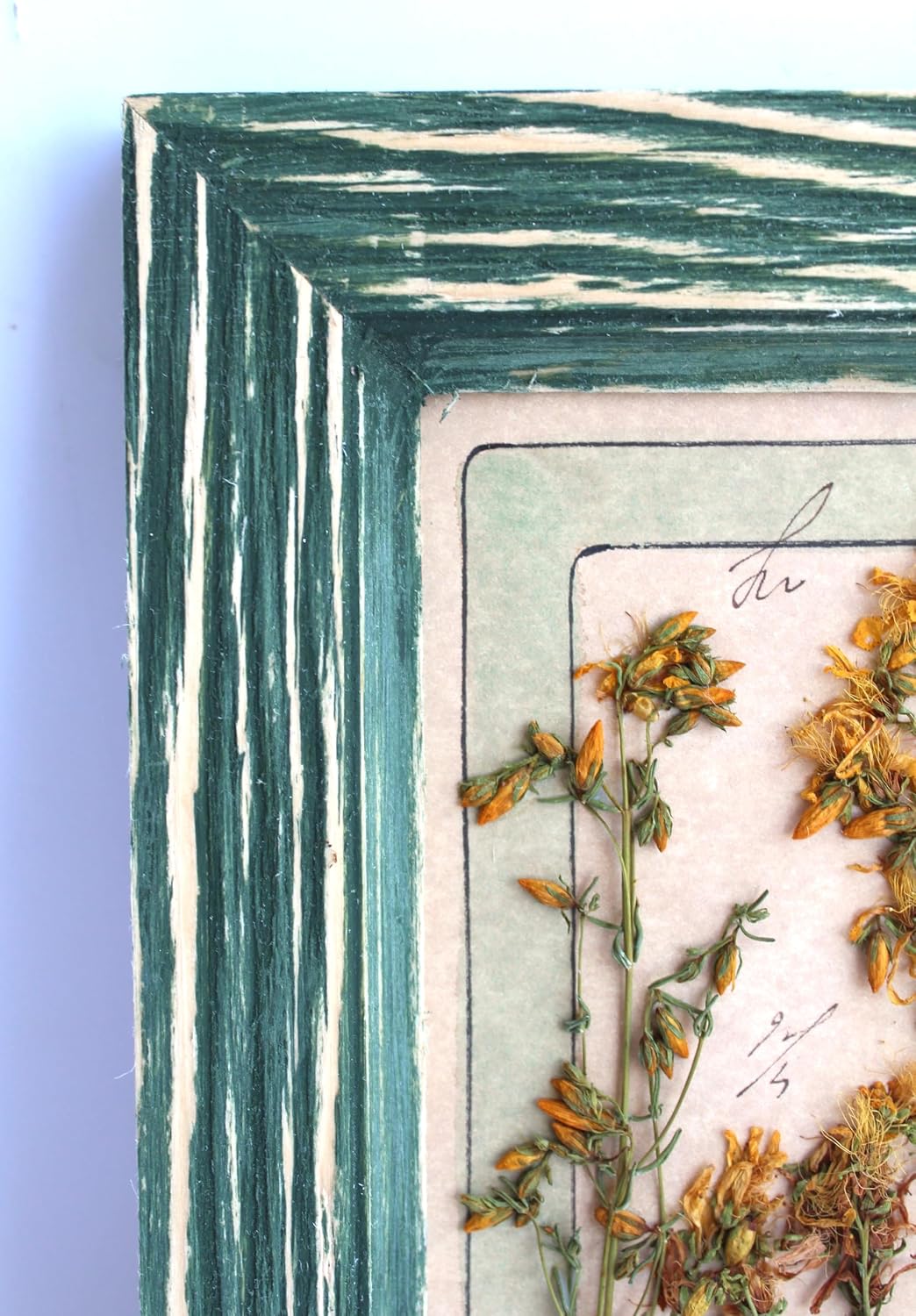 Pressed Flowers Framed Set in Farmhouse Distressed Frame. Pressed flower art of Dried Herbs, Botanical Wall Art, Floral Wall Decor, Small Frame Floral, 6.3x8.3 in