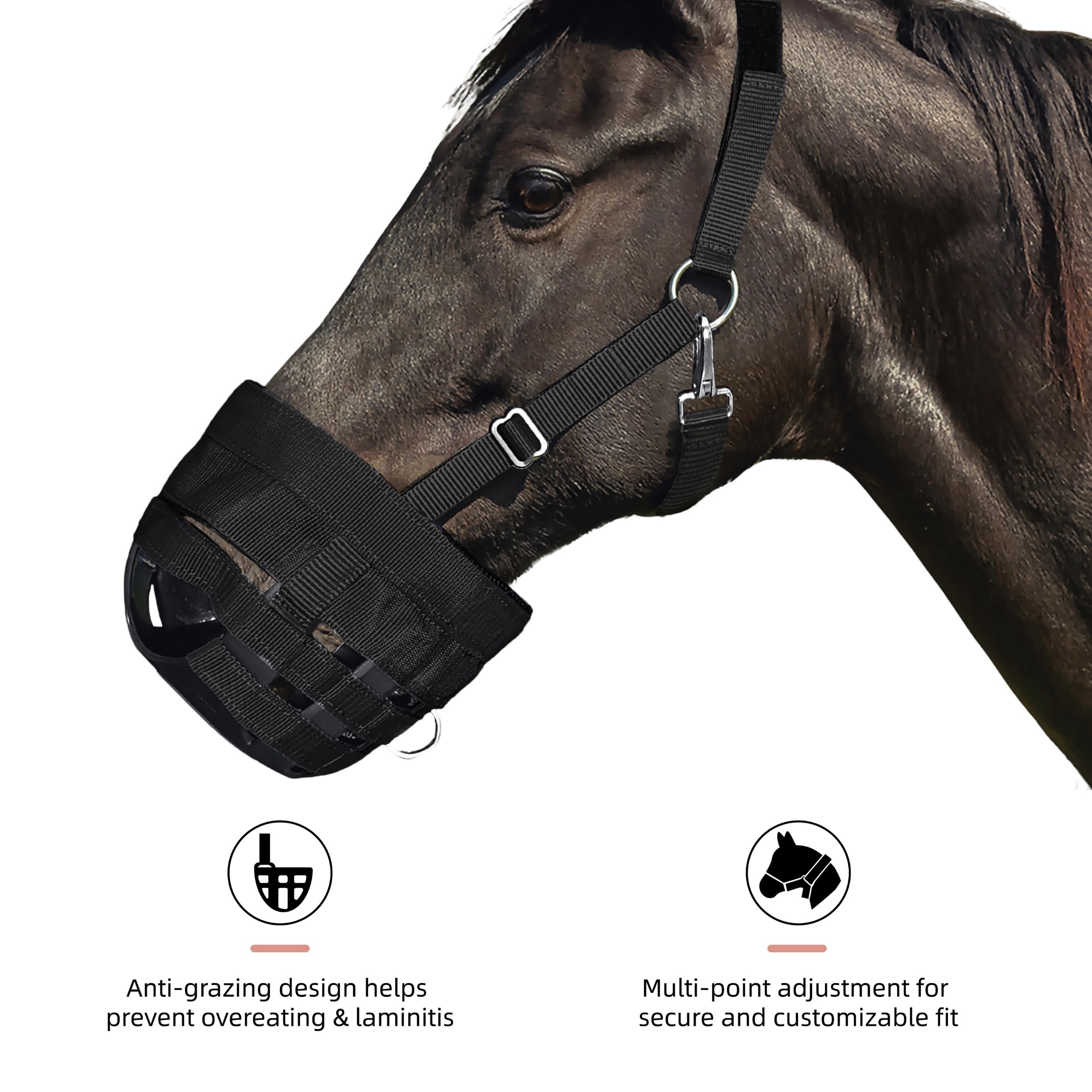 BARN & STABLE Weidenmaulkorb für Pferde mit verstellbaren Riemen, Schnallen, Laminitis Vorsorge