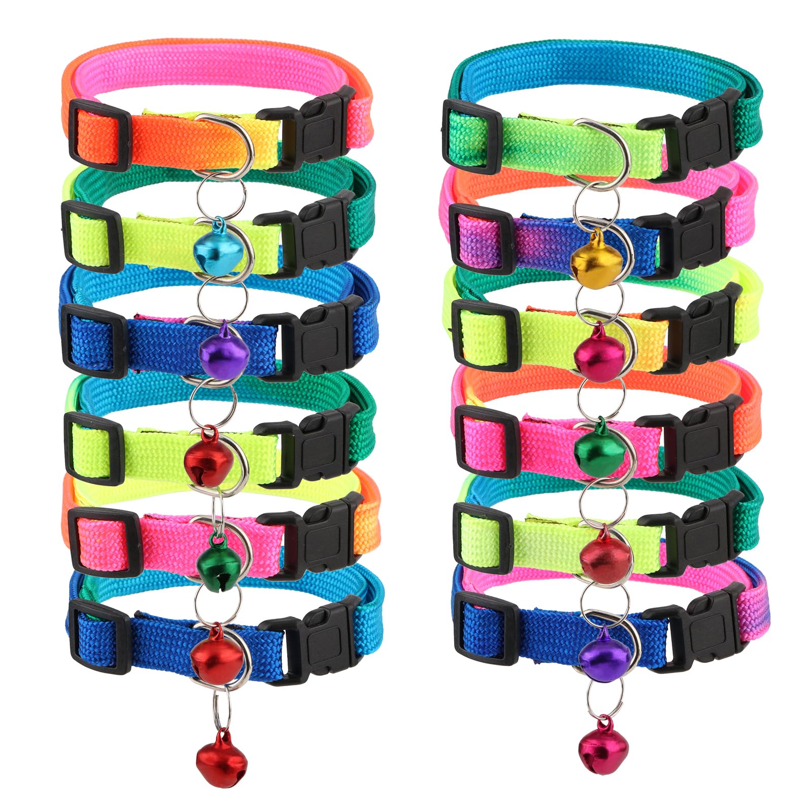 Collier de chien personnalisé et coloré pour les balades quotidiennes
