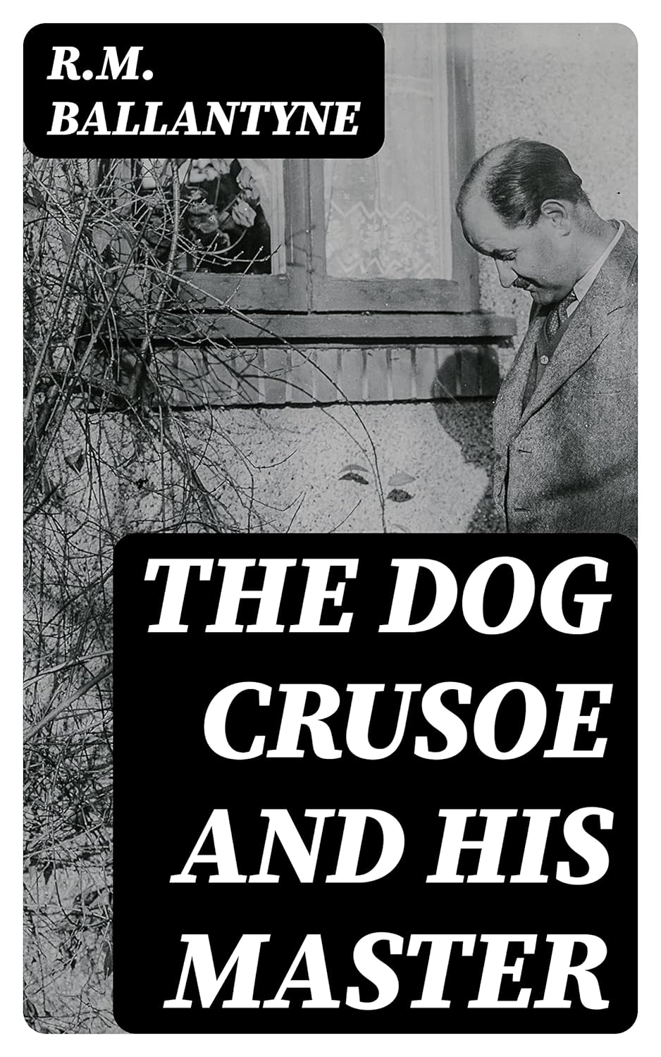 The Dog Crusoe and His Master      Kindle Edition