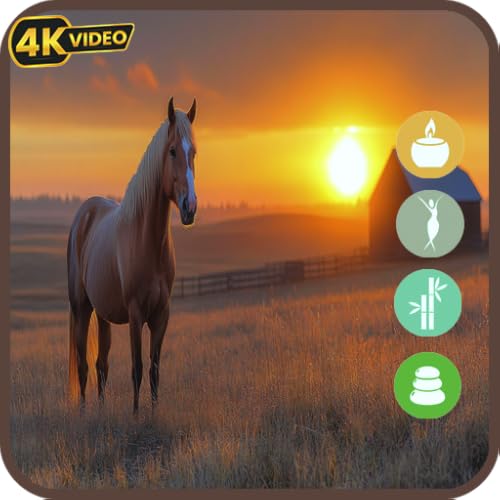 Horses in Meadow-Majestic Animal Scenes & Countryside Ambience