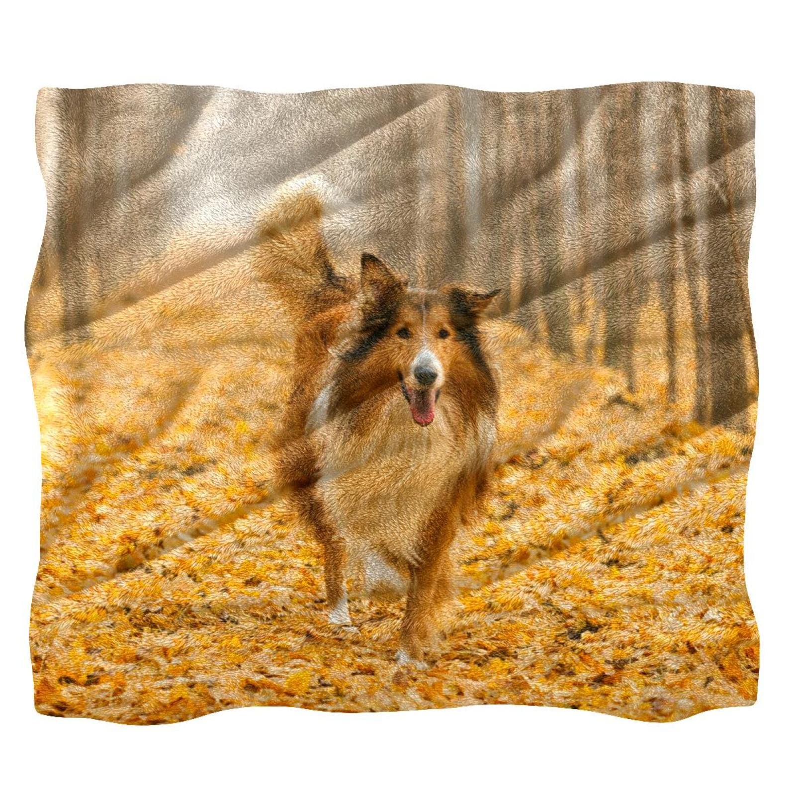Couvre-lit doux contre le froid nocturne imprimé chien Colley