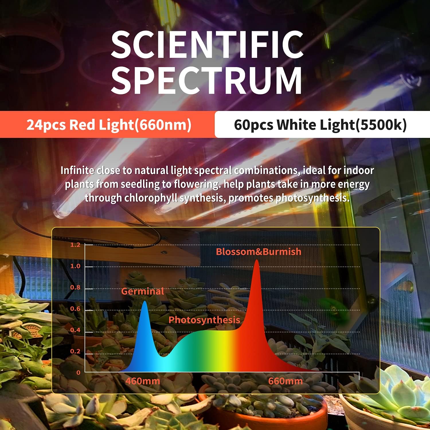 T5 LED Grow Light Strips, Roleadro Full Spectrum Plant Growing Lamp with White Red LEDs for Indoor Plants, 4Level Dimmable, Auto On Off Timing 3 6 12Hrs : Everything Else