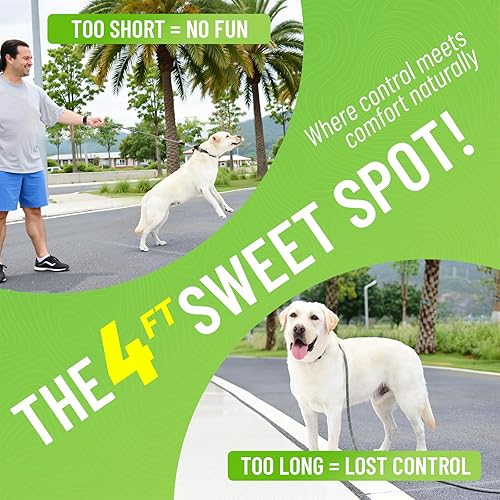 Miniatura 4 de Correa negra resistente para perros de 440.9 lbs, control de tracción, correa de nailon reflectante para razas grandes con mango acolchado