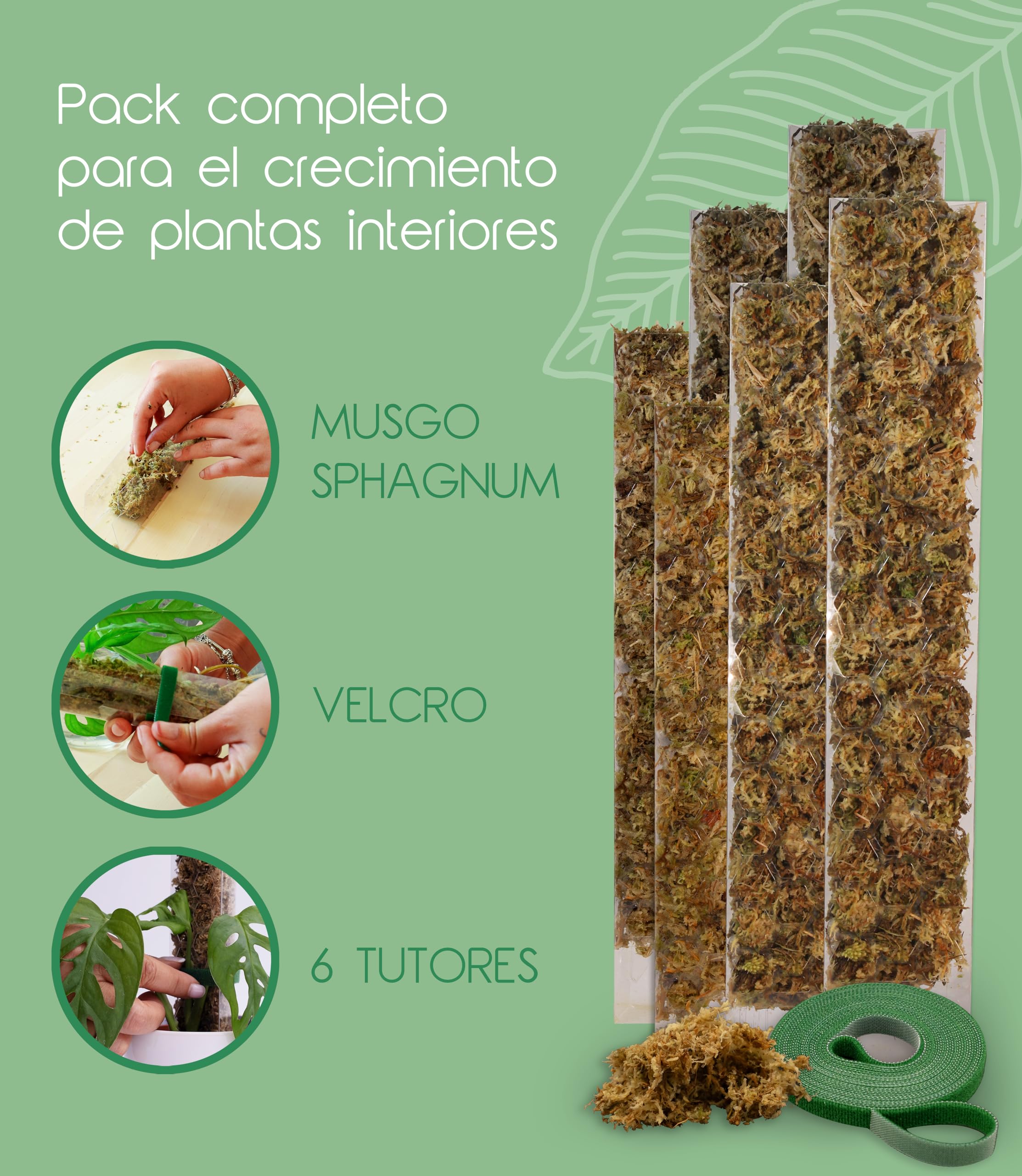 Set 6 Tutores de Musgo para Monstera Plantas Trepadoras de Interior Incluye Musgo Sphagnum 200g y Velcro 5m Tamaños L/M/S Soporte de Plastico Extensible Ideal Pothos Philodendron Aroides