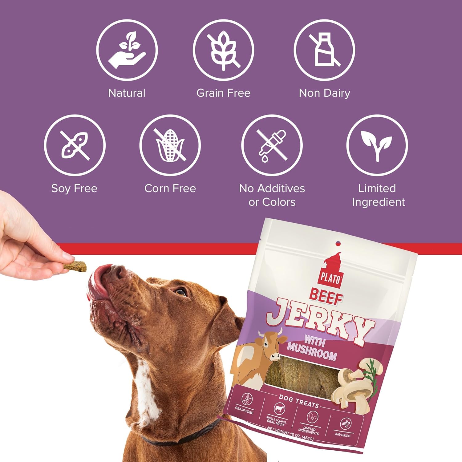 PLATO Pet Treats Jerky Dog Treats - Air-Dried Beef Jerky with Mushroom - Grain Free, High Protein - 16oz