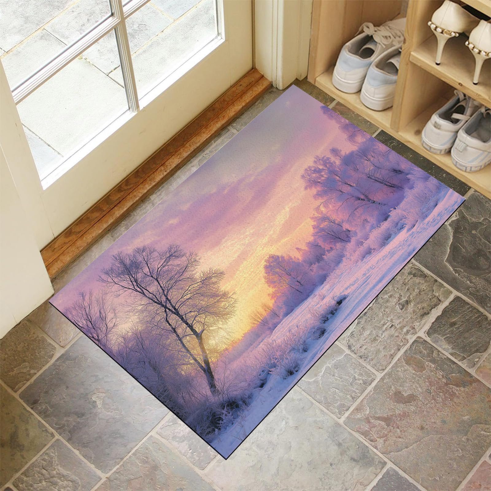 Tapis de porte absorbant et résistant lavable pour couloir