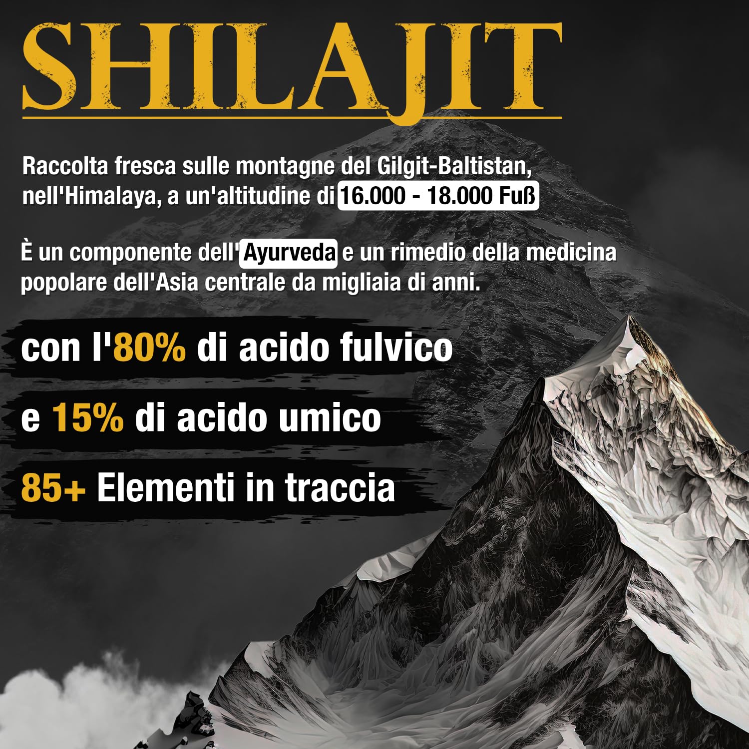 Shilajit Resina Gold Standard 60 g 85+ minerali, massima potenza dall'Himalaya oltre 3 mesi, 100% puro e originale vegano e senza additivi