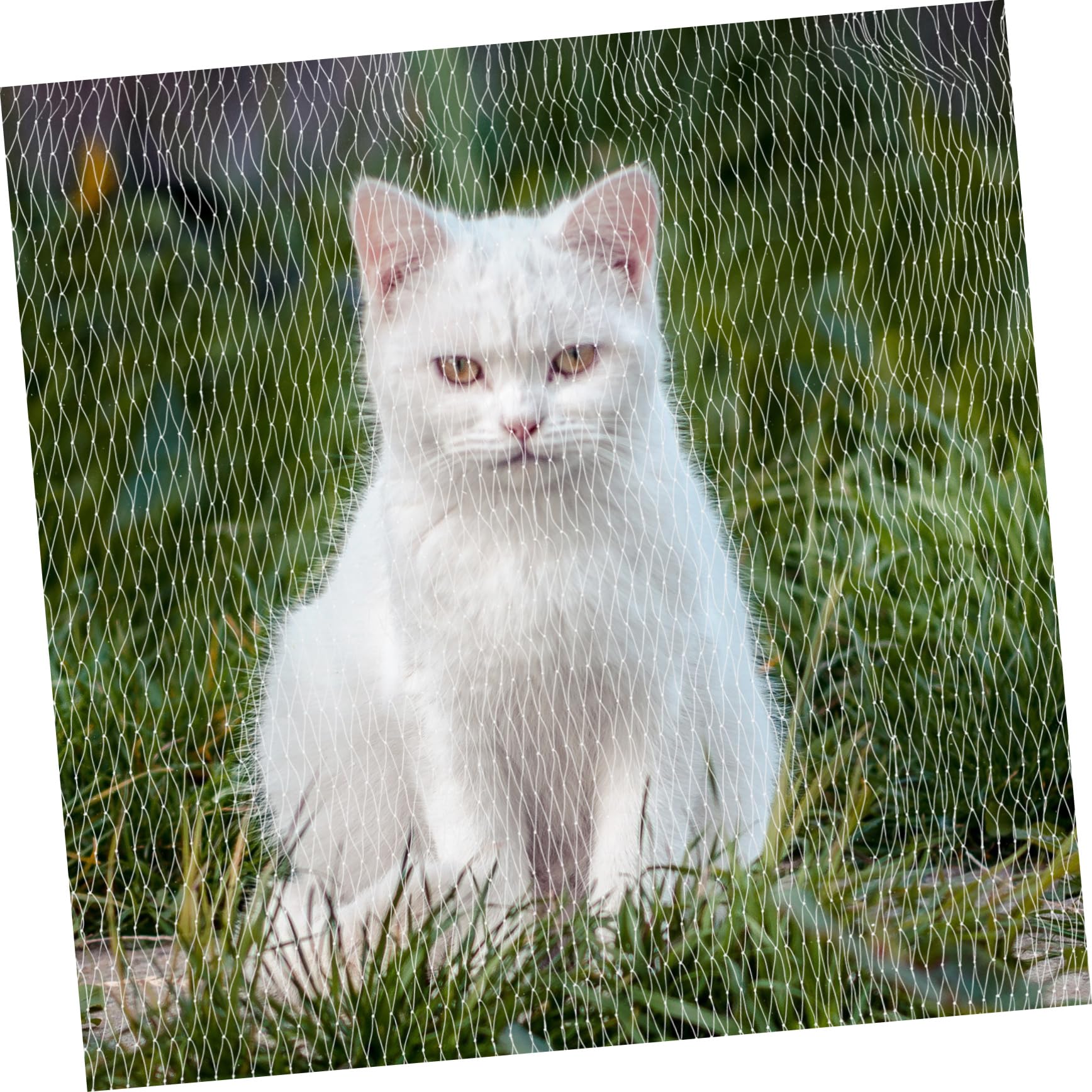 Balcony Cat Net Sicherheitsnetz Für Katzen Und Hunde Schutz Vor Stürzen Für Balkon Terrasse Fenster Und Dach Wasserfestes Einfach Zu Montieren Weiß