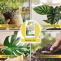Vista 4 de HARRIS Aerosol de aceite de neem para plantas, prensado en frío listo para usar, 128 onzas