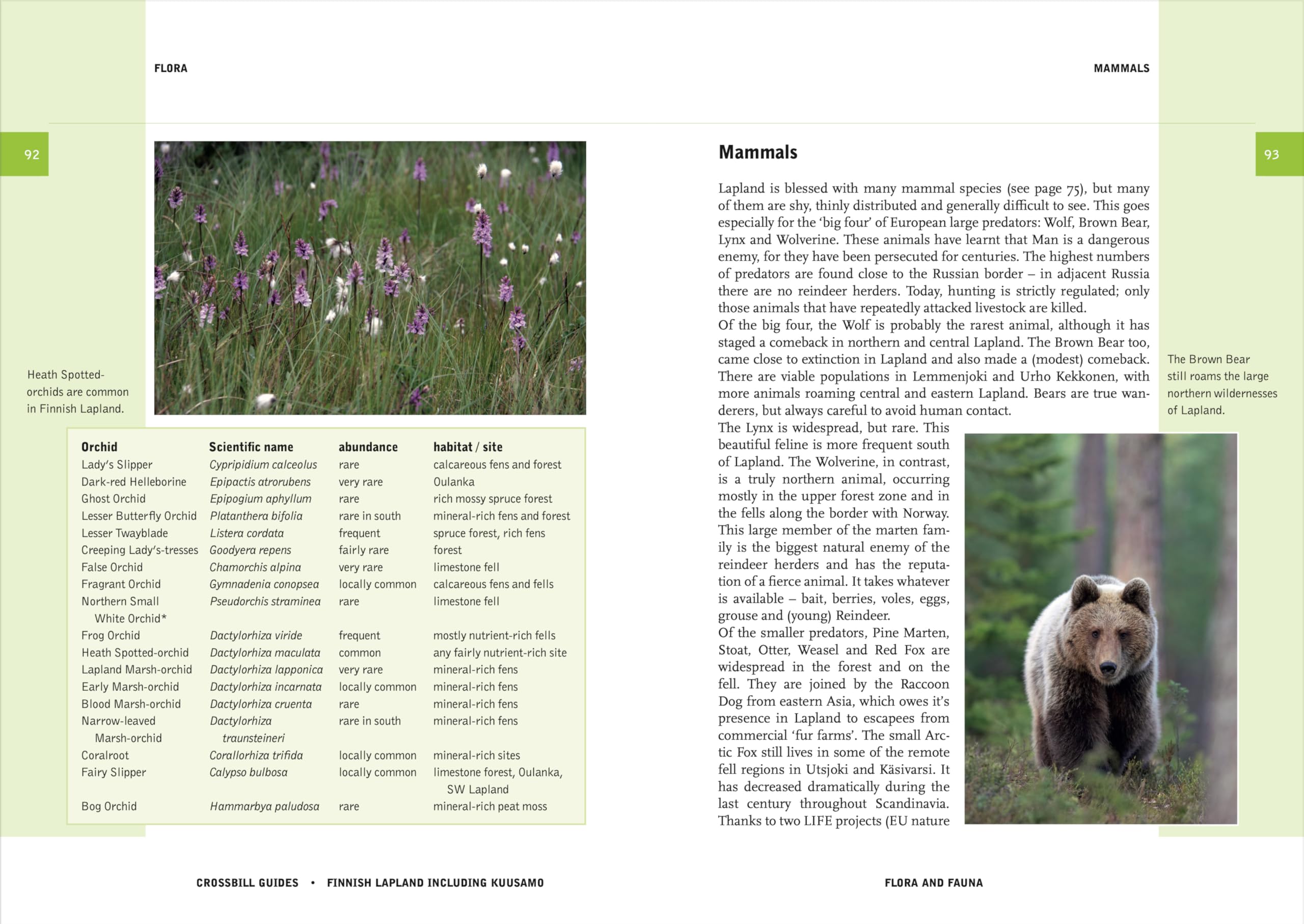 Finnish Lapland: including Kuusamo (Crossbill Guides)