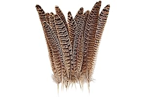 12pcs Natural Feathers Pheasant Tails