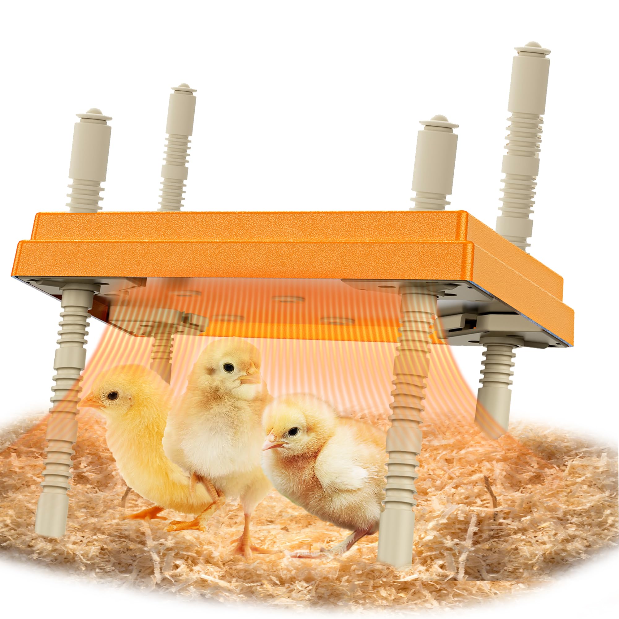 Baby Chick Supplies Heat Lamp For Chicks Tiflev Heating Plate With
