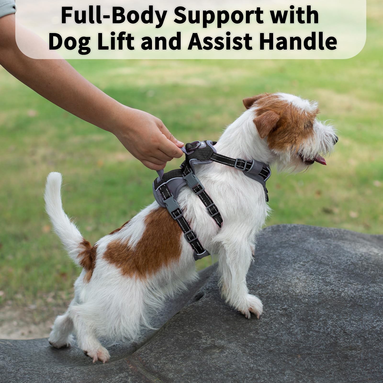 Huntboo Escape Proof Dog Harness Medium, Anti-Pull Dog Harness with Handle, Breathable, Adjustable, Reflective Dog Harnesses - Image 4