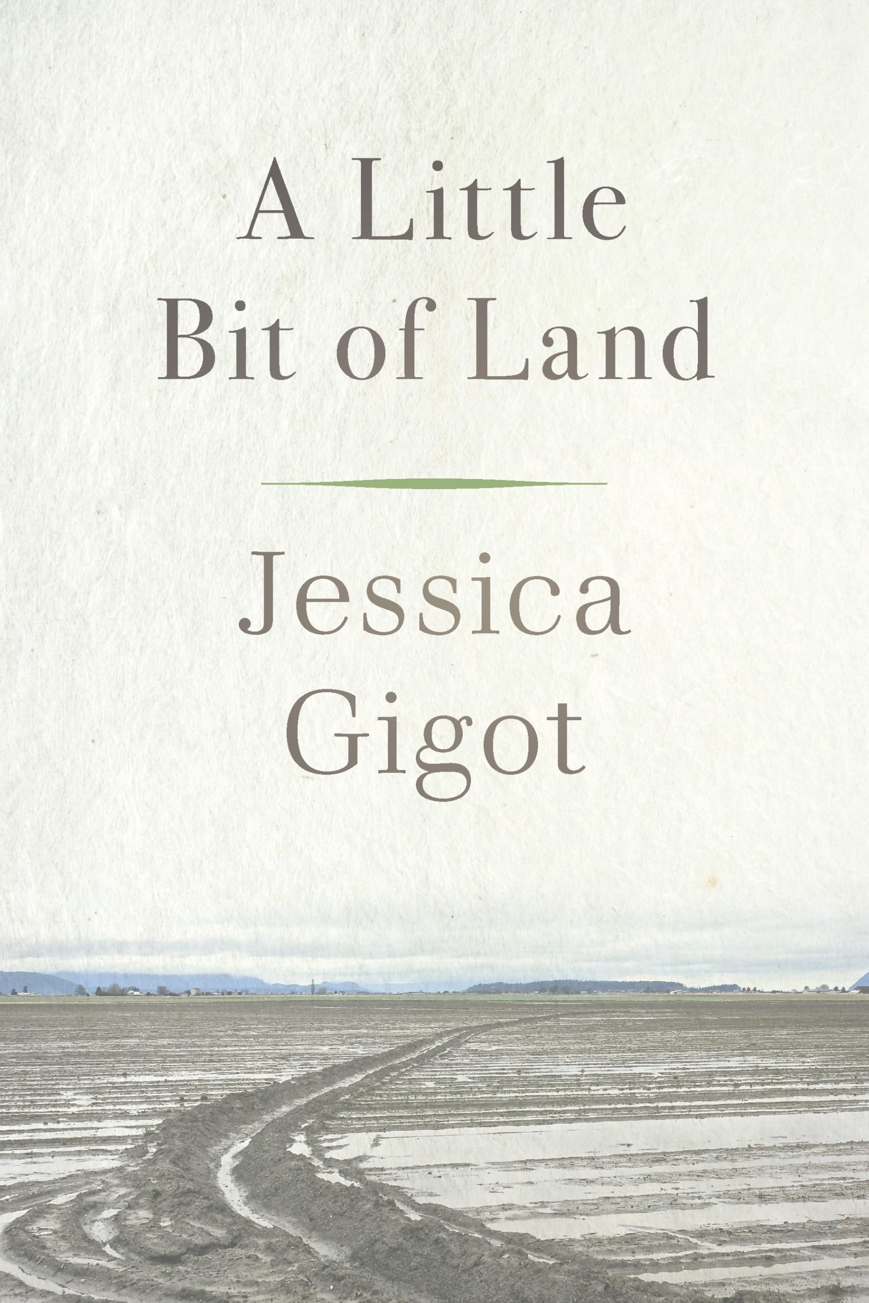 Buy A Little Bit of Land — BookShops.in
