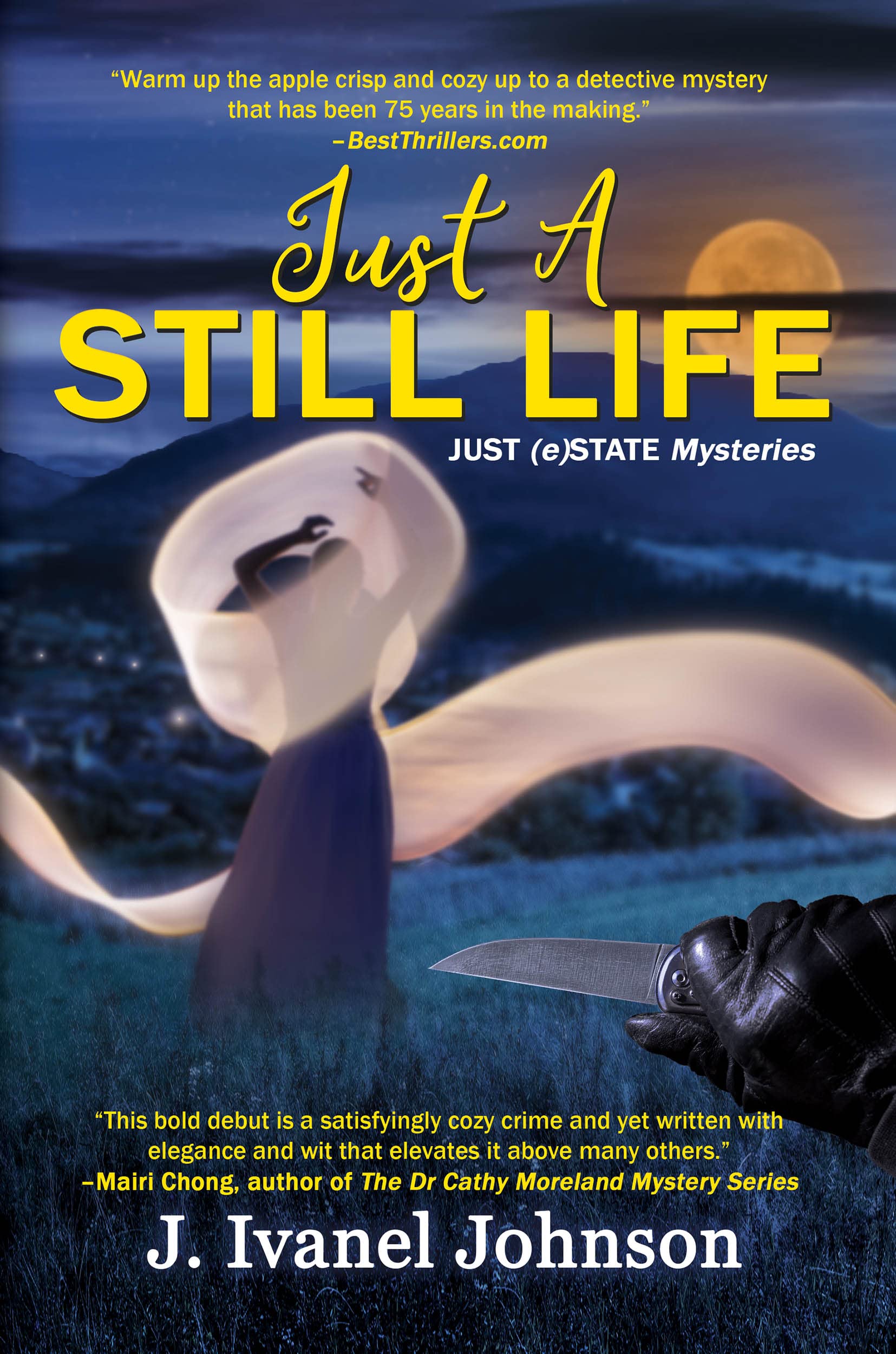 Just A Still Life (Just (e)State Mysteries Book 1)