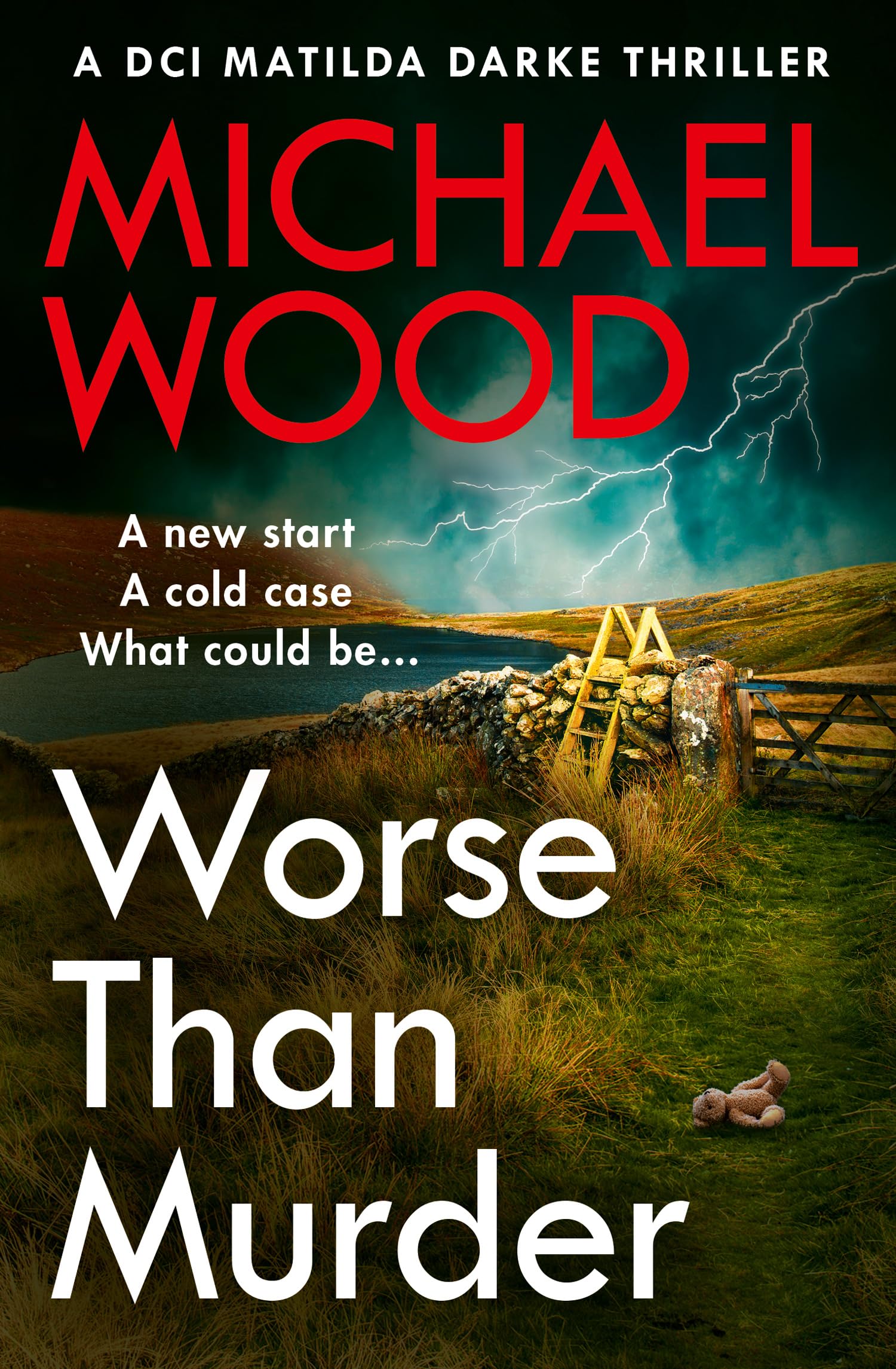 Worse Than Murder by Michael Wood (Paperback Book)