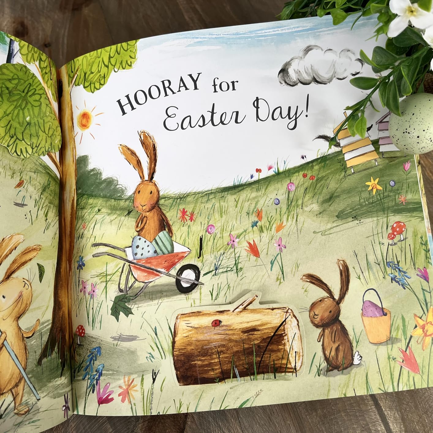 We're Going on an Egg Hunt: A Lift-the-Flap Adventure : Mumford, Martha ...