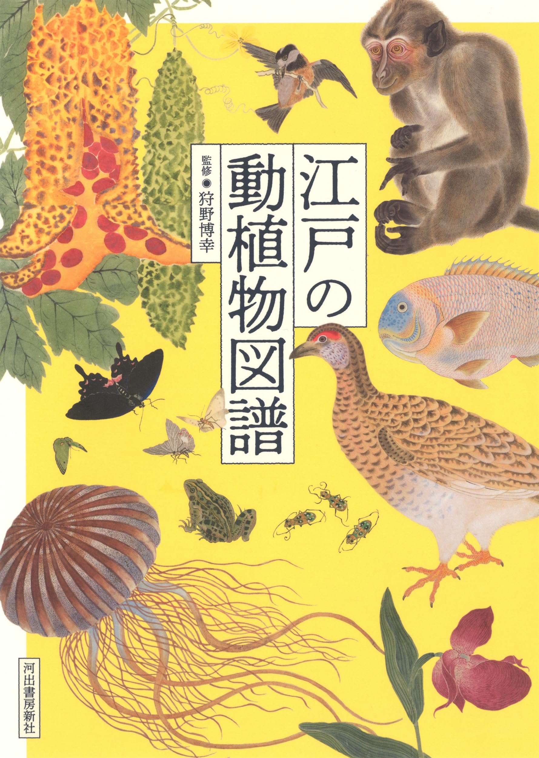 近世植物・動物・鉱物図譜集成　第37巻 近世植物・動物・鉱物図譜集成 第37巻