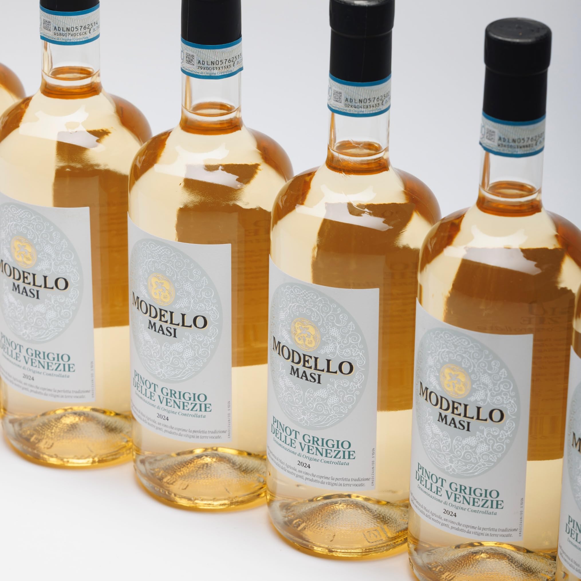 MASI "MODELLO PINOT GRIGIO" 2024 | Pinot Grigio delle Venezie DOC | 6x750 ml | Caja de 6 botellas