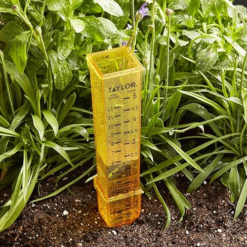 Miniatura 2 de Taylor 2715 2 en 1 manómetro de lluviarociador, color amarillo