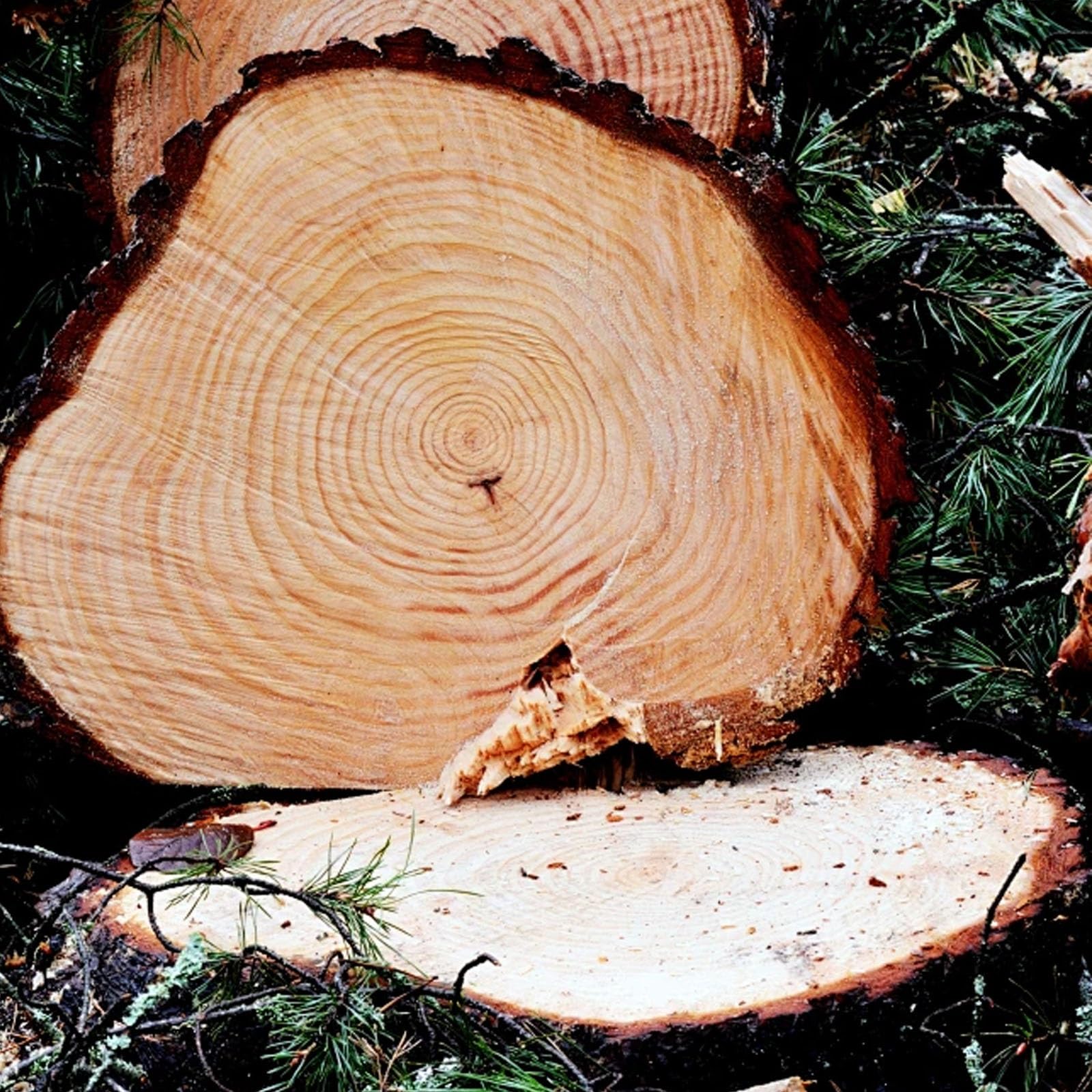 Ogrodzenie klimatyzatora, 4-panelowa obudowa wyposażenia basenu, drewniany kosz na śmieci, panel ogrodzeniowy na zewnątrz (kolor: biały 4-stronny, rozmiar: 85 x 35 x 80 cm)