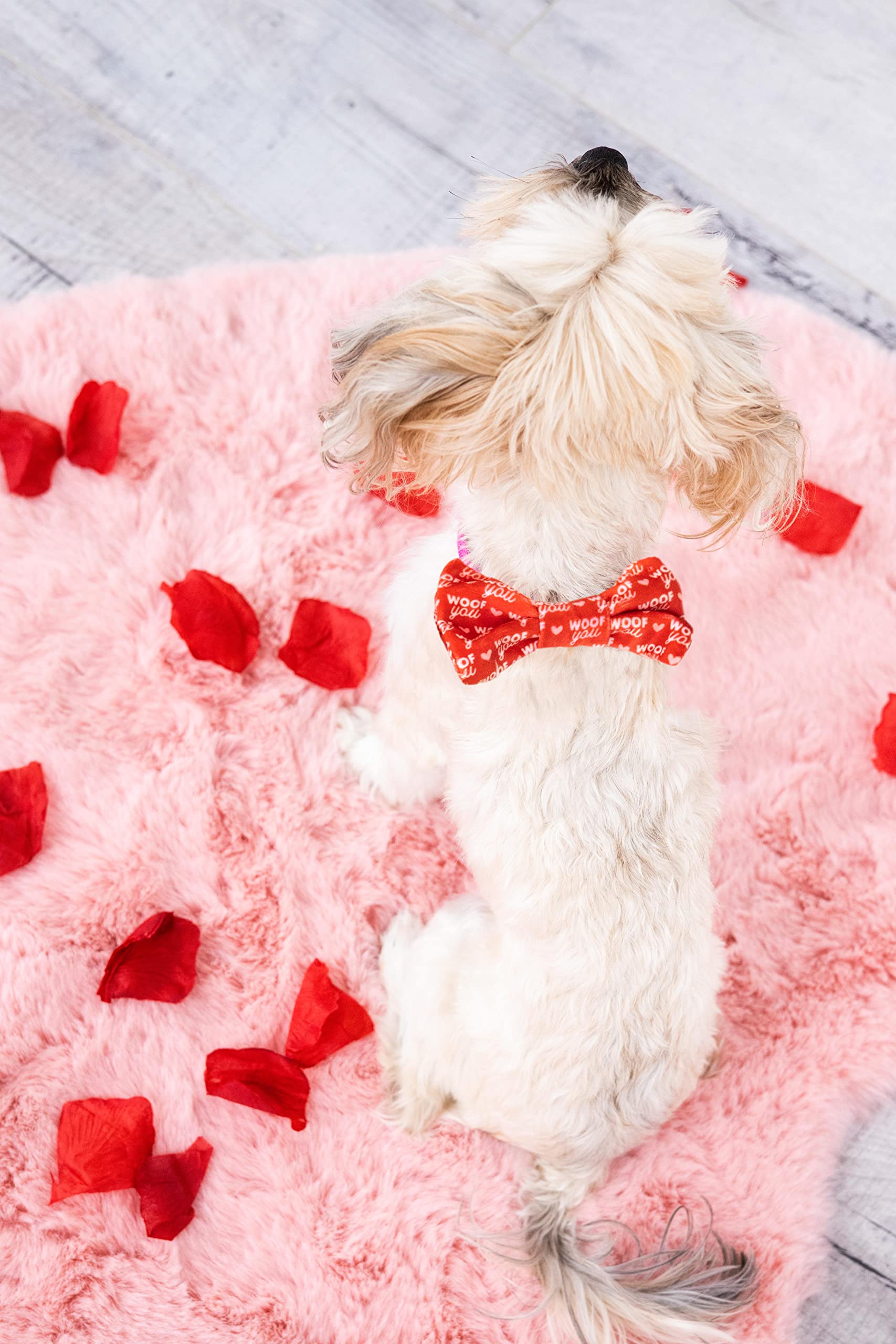 Pearhead Woof You Hearts Pet Bandana, Valentine’s Day Slide-On Dog Bandana, Dog Apparel, Pet Accessory, XS/S - Image 3