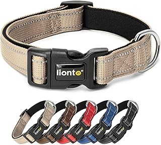 lionto Hundehalsband aus strapazierfähigem Nylon, Größe S, weiches gepolstertes Halsband für Hunde, 360° reflektierend & Klickverschluss, Metallring & Anpassung durch stufenlosen Schieber, beige product image