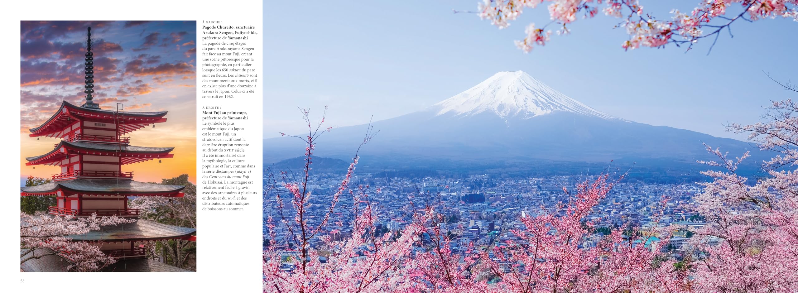 Le Japon: Entre tradition et modernité