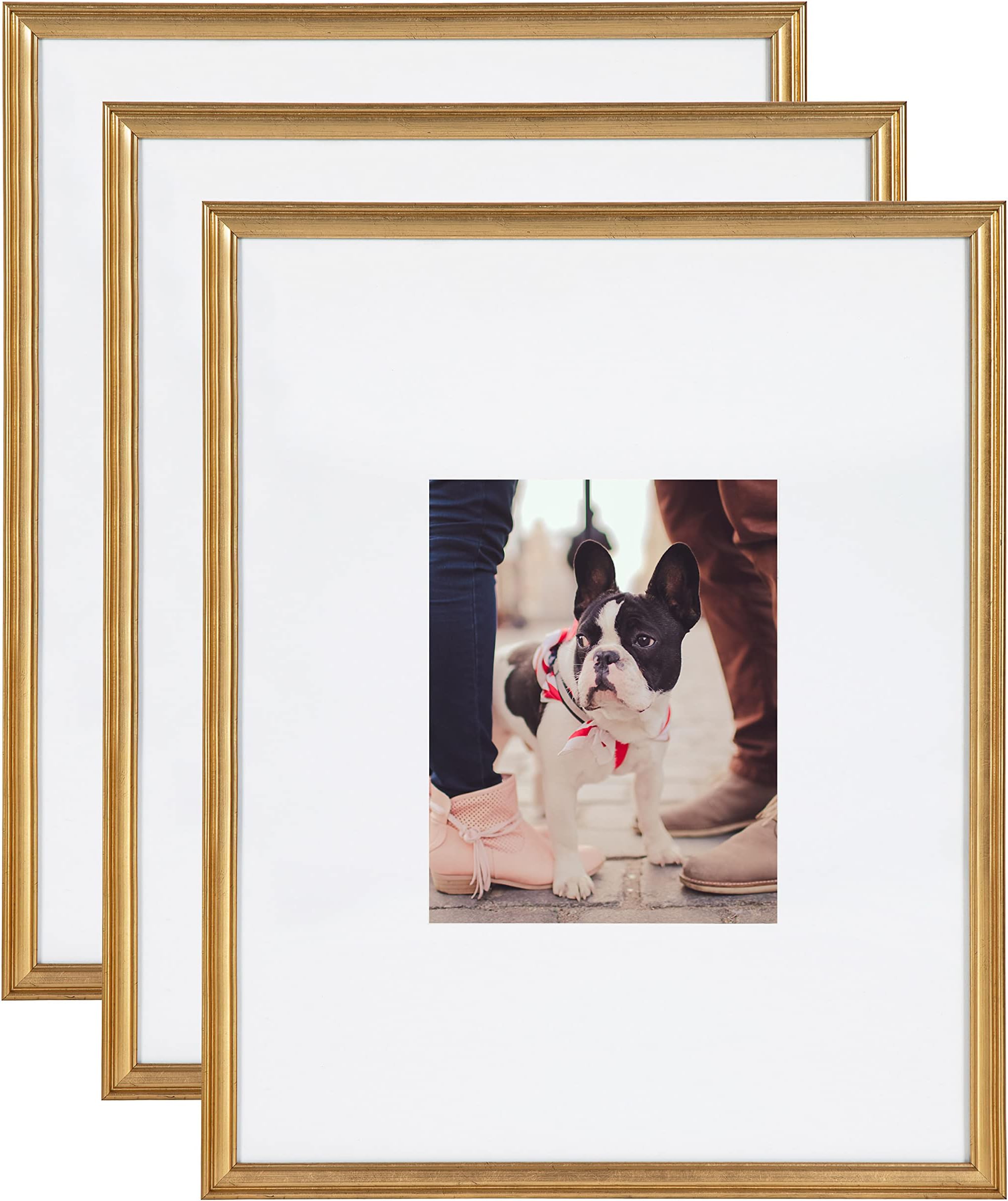 Adlynn Wall Picture Frame Set, 16" x 20" matted to 8" x 10", Gold, Set of 3