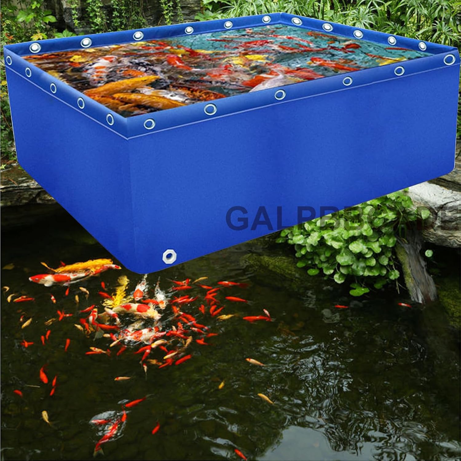 Durable PVC Canvas Aquarium Pool - Multifunctional Tear-Resistant Holding Tank with Drain Valve for Saltwater Fish, Temporary Water Storage, 1m x 1m x 0.5m