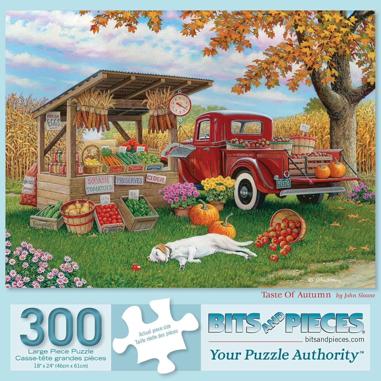 Bits and Pieces 300 Piece Jigsaw Puzzle for Adults 18" x