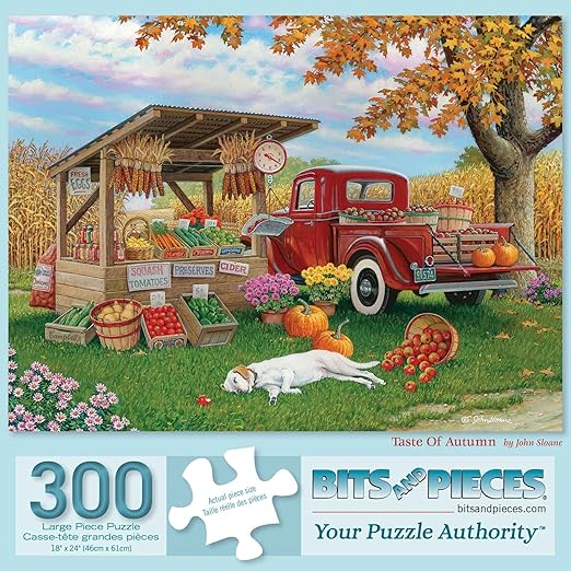 Bits and Pieces 300 Piece Jigsaw Puzzle for Adults 18" x