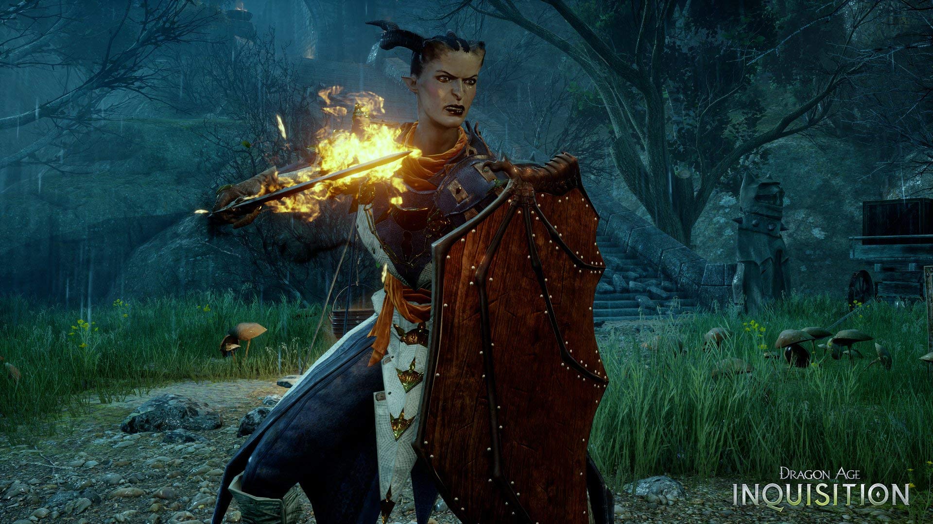 Amazon.com: Dragon Age Inquisition - Standard Edition