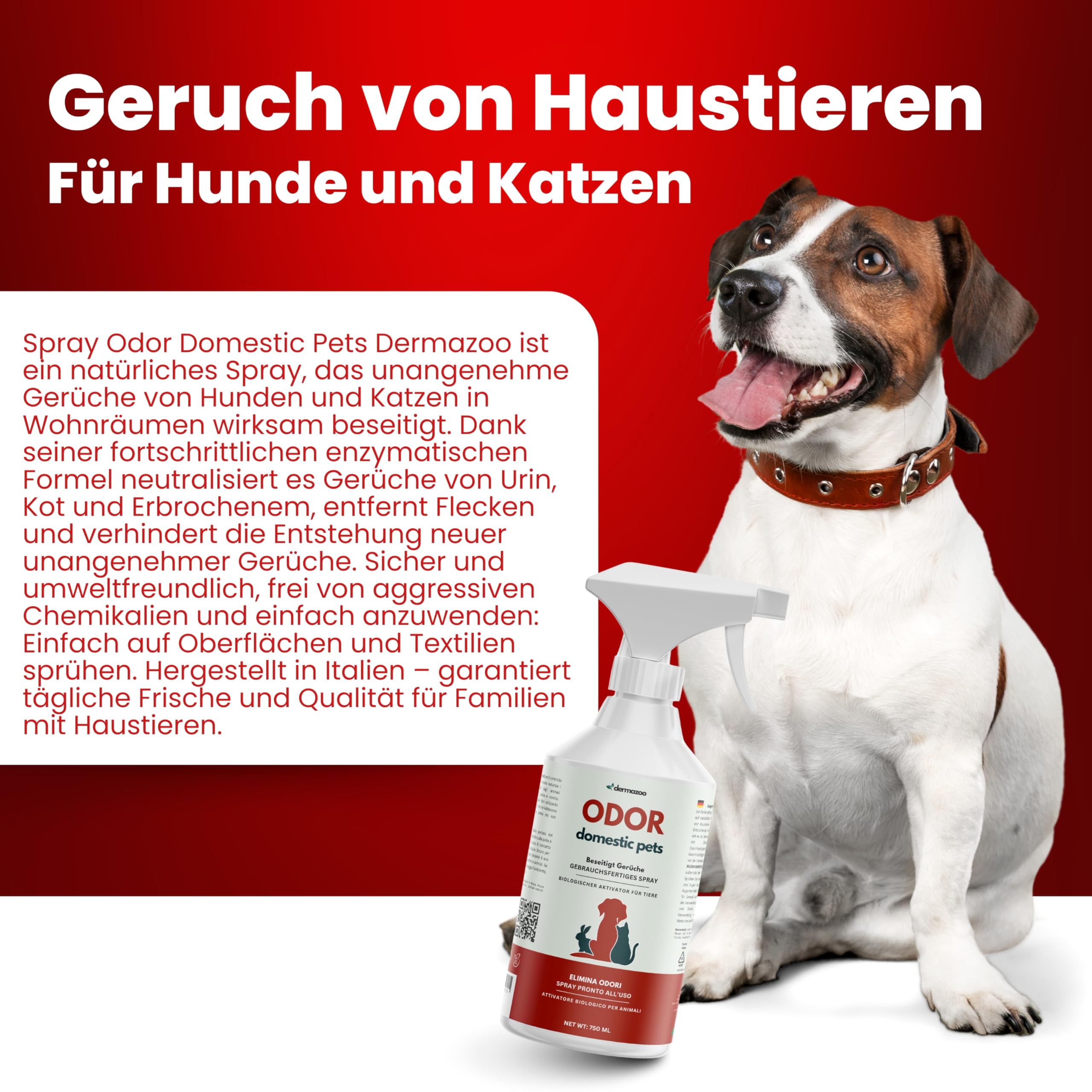 Dermazoo Enzymreiniger Katzenurin & Hundeurin, 750ml Geruchsneutralisierer & Geruchsentferner Spray für Sofa, Matratzenreiniger, Teppich & Textilien, Haustier Welpen Hygiene