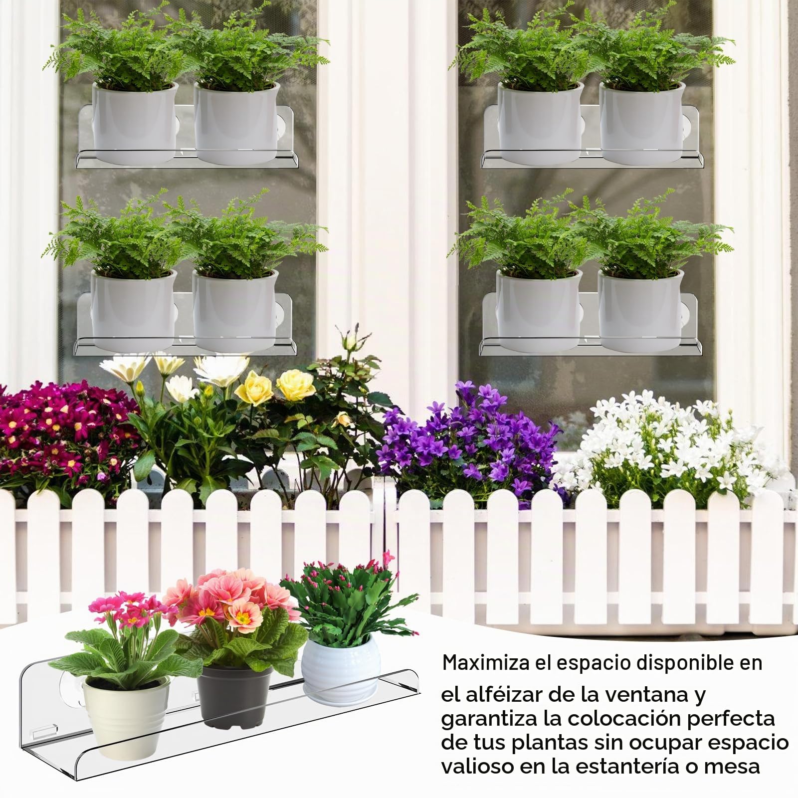 Estantería de acrílico para plantas, 2 unidades, transparente, ventosa, estantería para plantas, estantería para plantas, estantería colgante de 30 cm, para el alféizar de la ventana para
