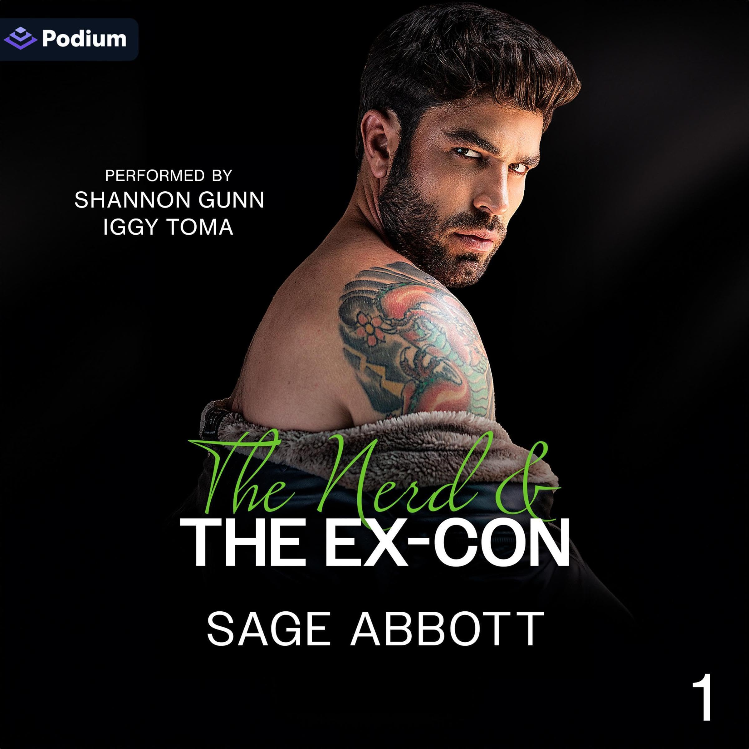 Cover art for The Nerd & the Ex-Con