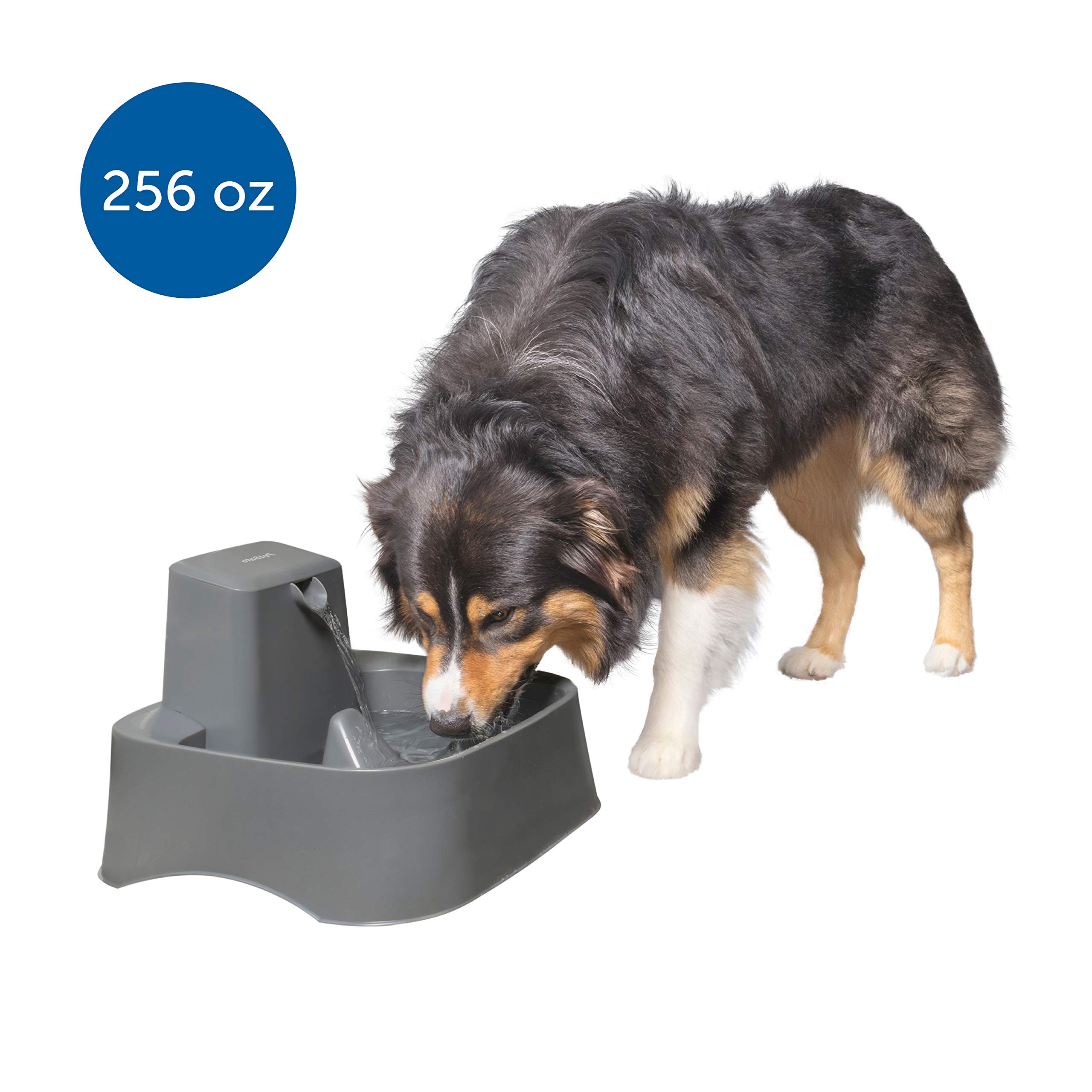 10 Best Dog Fountains 2023 Reviews & Ratings
