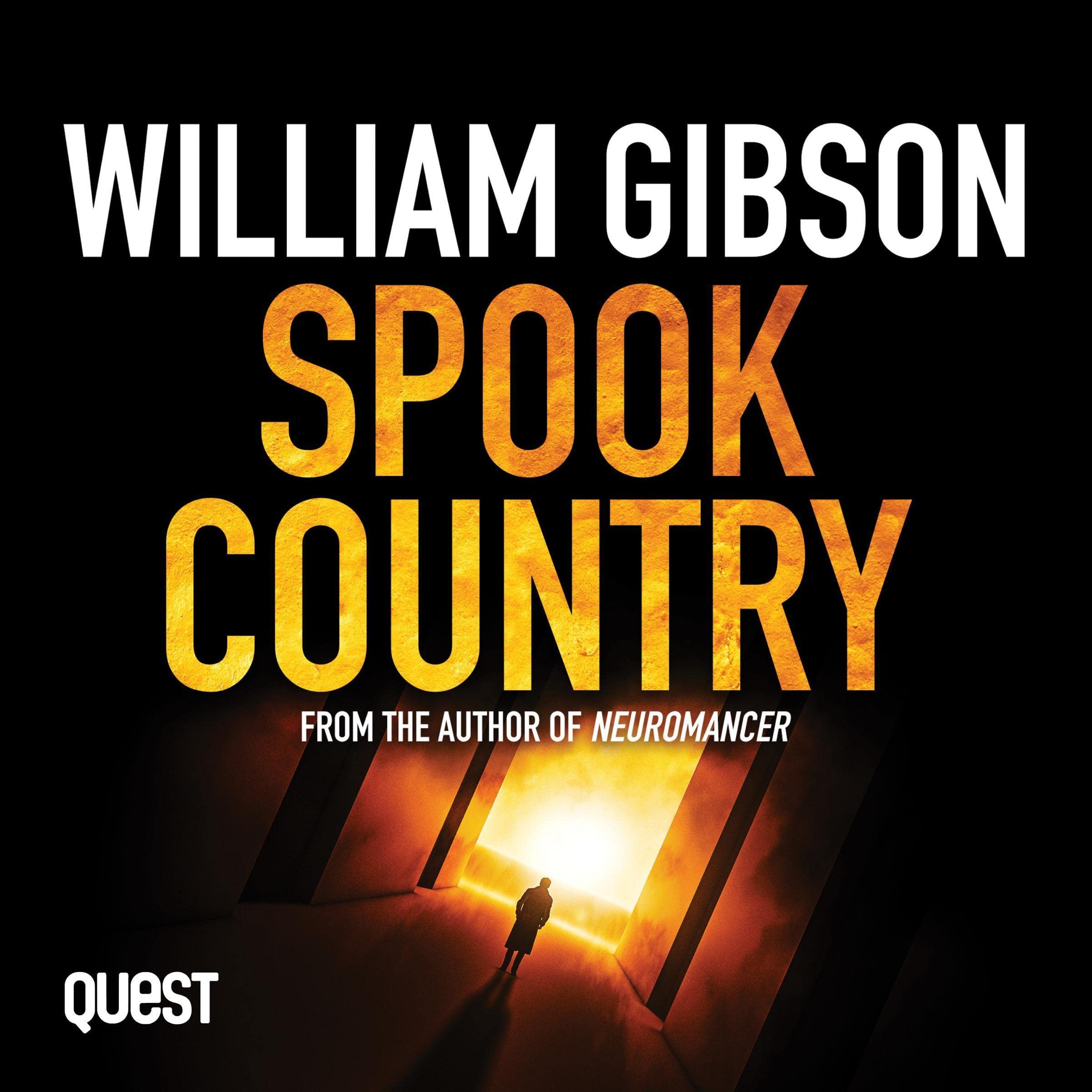 Cover art for Spook Country