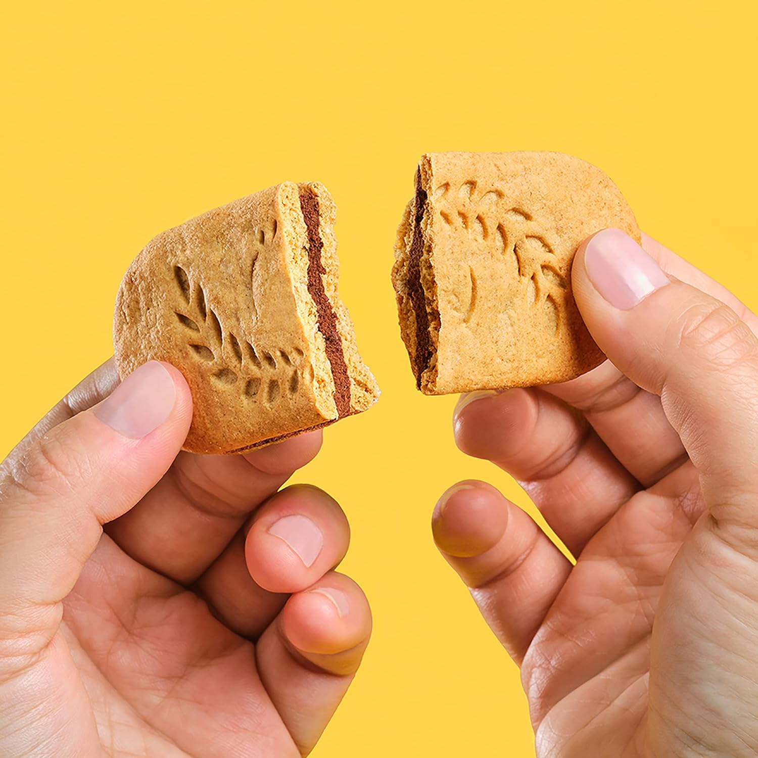 belVita Breakfast Bar Biscuit Sandwiches,Dark Chocolate Creme,60 Total Packs,5 Count(Pack of 12)