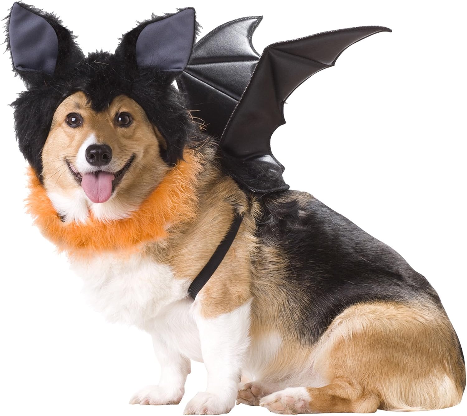 Amazon 犬用コスチュームこうもり Bat Dog Costume M ミディアム Animal コスチューム 通販