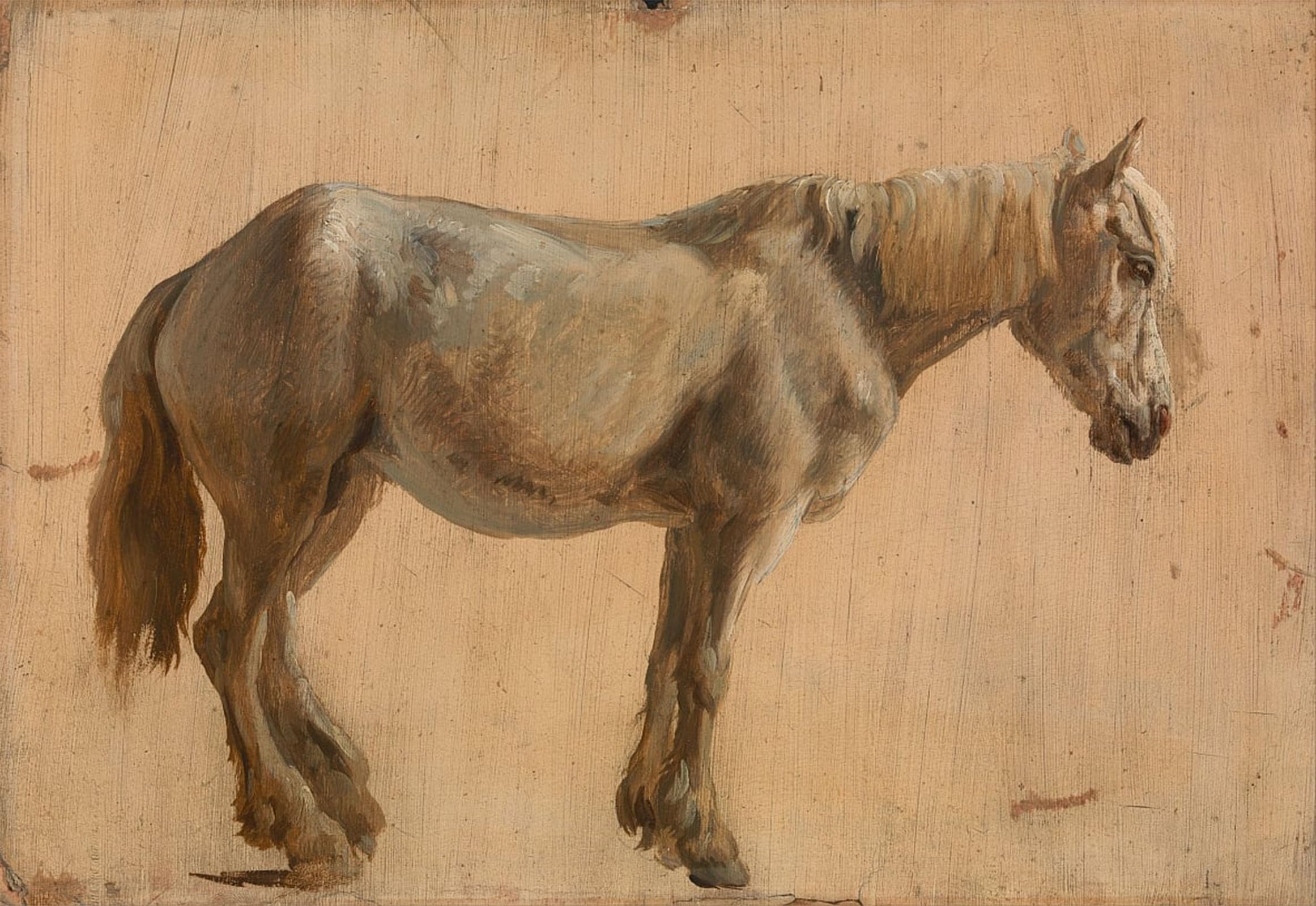 ARTXLXXBN Famous Painting Art Wall Decor Abstract Art Picture Study of a Grey Horse by Jacques Laurent Agasse Animal Pictures for Home Decor 60x90cm