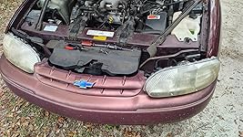 Review Image by Susan Southerland Susan Southerland