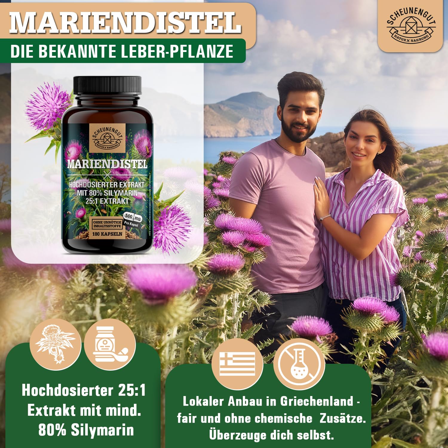 Mariendistel Kapseln 1500mg -WICHTIG: 25:1 Extrakt (=37500mg reines Mariendistel pro Tagesdosis) +80% Silymarin -Silymarin Hochdosiert- Laborgeprüft und Vegan DE SCHEUNENGUT®