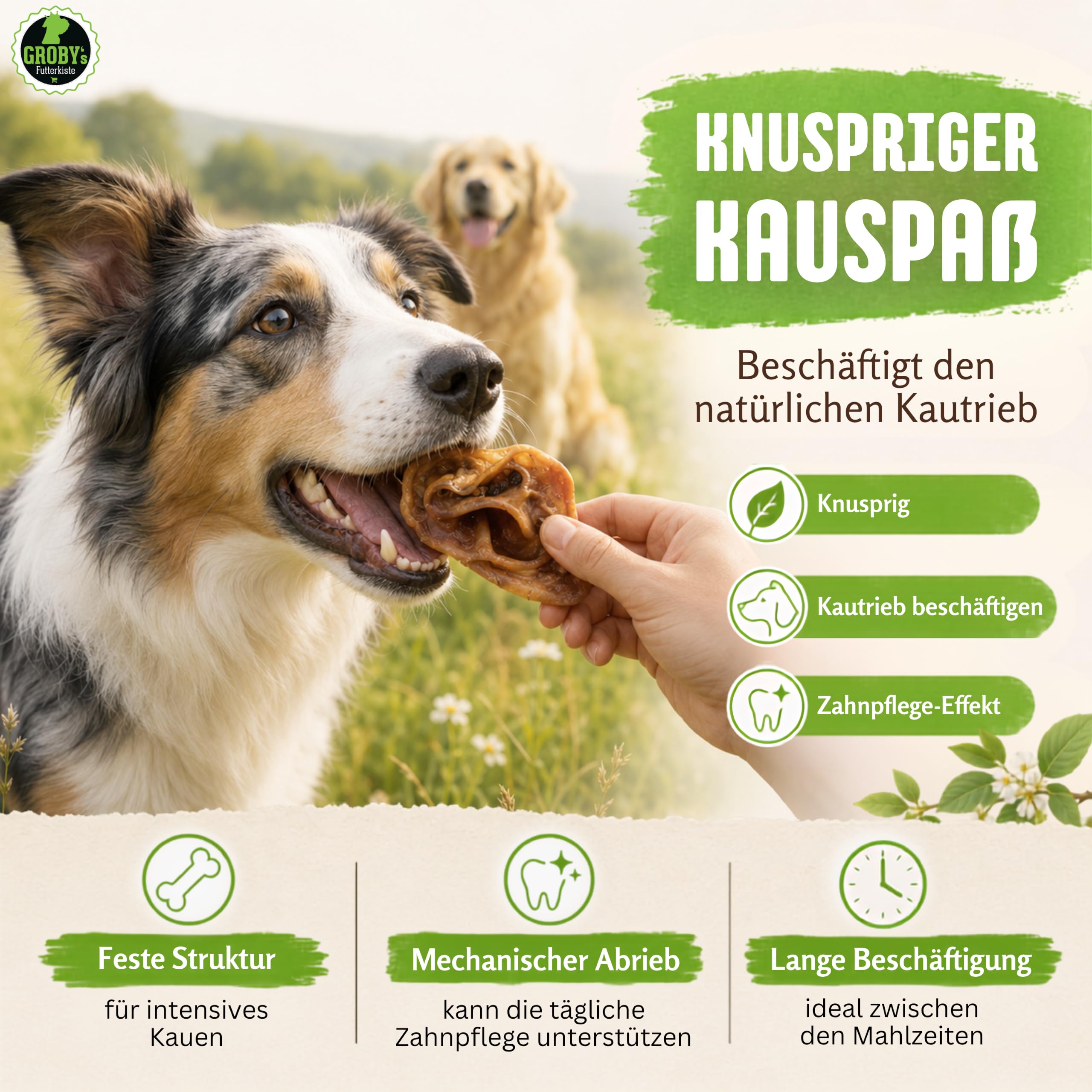 Ohrmuscheln vom Schwein für Hunde 5 kg - getrockneter Naturkauartikel - Einzelfuttermittel ohne Zusatzstoffe - knuspriger Hundesnack für langanhaltenden Kauspaß